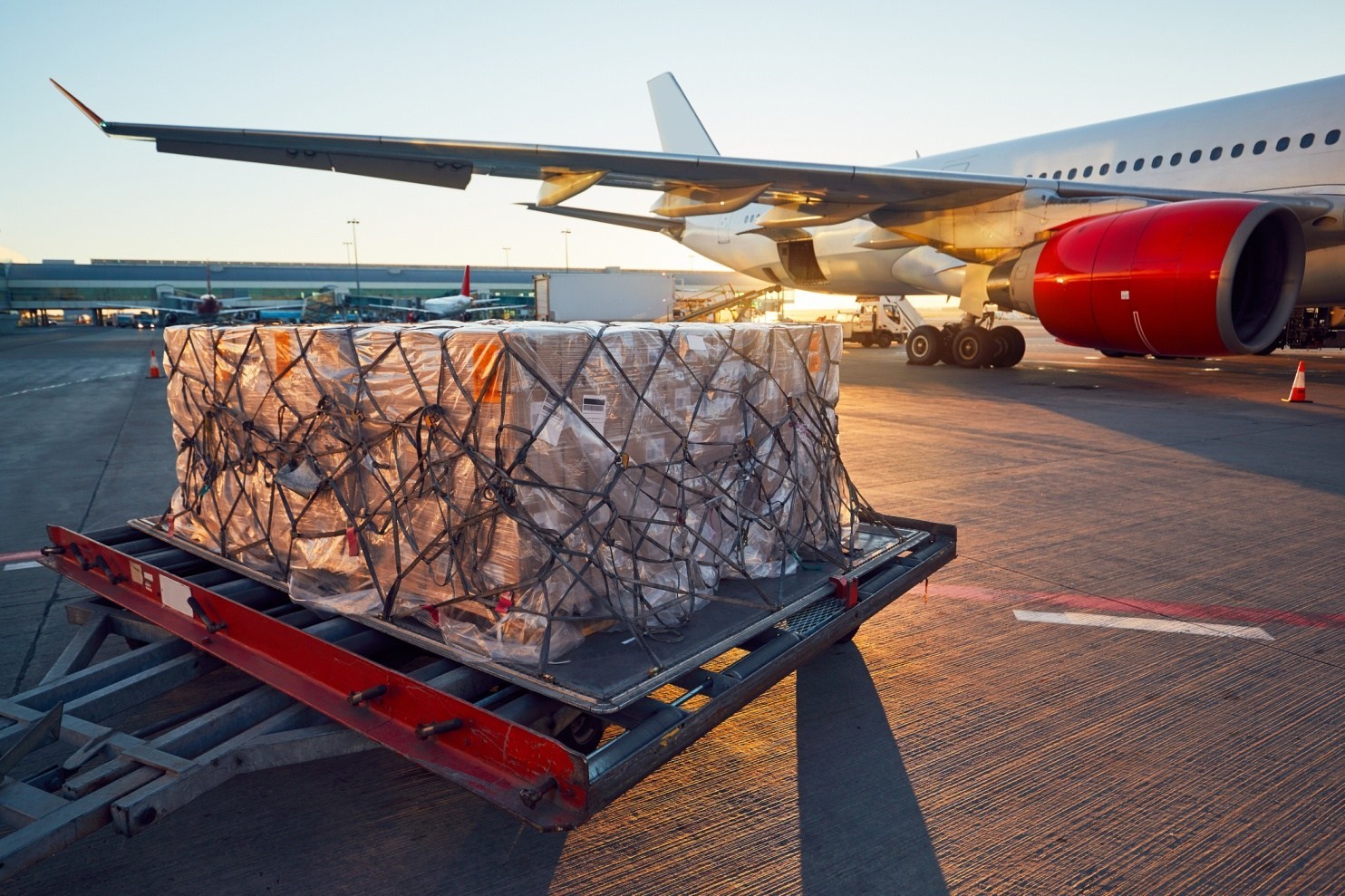 TTL logistics chuyên vận tải hàng không từ Hamburg về Việt Nam