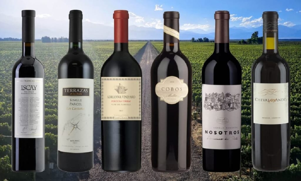 Italia là thị trường xuất khẩu rượu vang lớn hàng đầu thế giới Italia là thị trường xuất khẩu rượu vang lớn hàng đầu thế giới