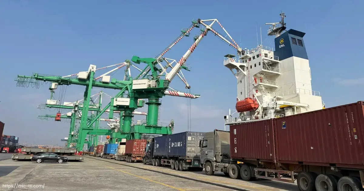 TTL Cargo Max có thế mạnh về vận tải biển tuyến Thái Lan-Việt Nam TTL Cargo Max có thế mạnh về vận tải biển tuyến Thái Lan-Việt Nam