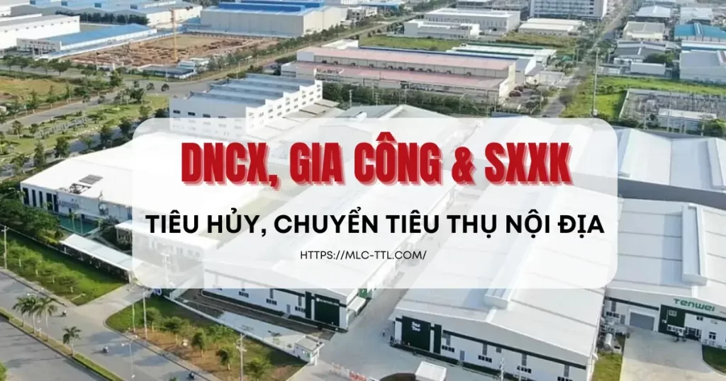 DNCX, Gia Công và SXXK được hưởng nhiều ưu đãi