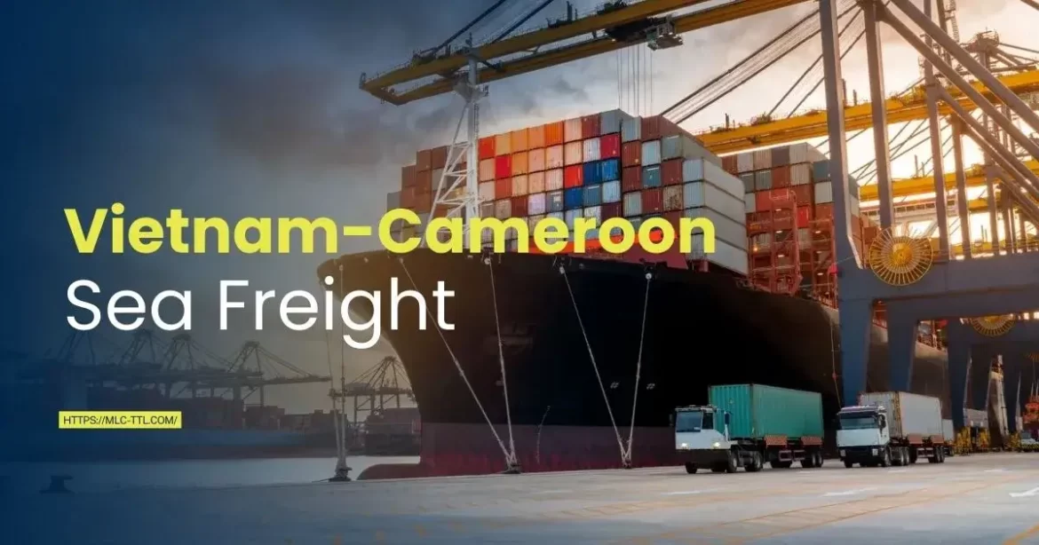 Vietnam-Cameroon-Sea-Freight