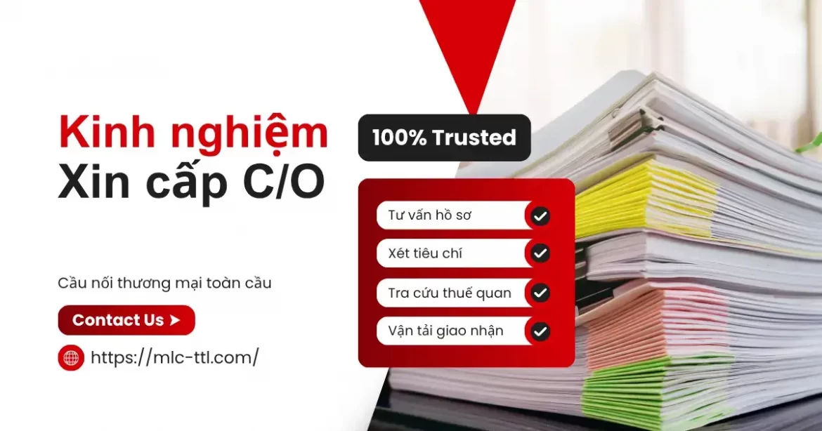 Xin-cấp-CO-Certificate-of-Origin